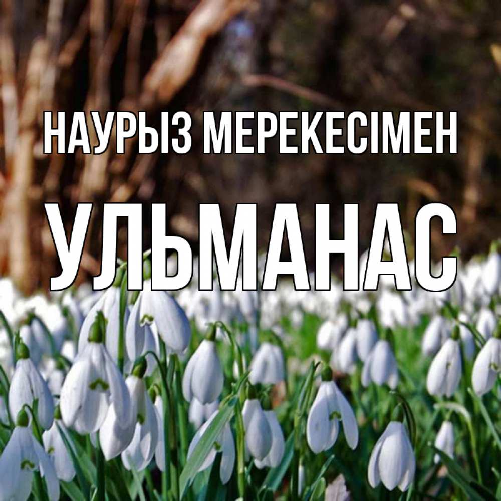 Күн сайын ашық хат с именем, Ульманас Наурыз мерекесімен с подснежниками 1 Онлайн тегін жүктеп алу тілектері бар керемет карта 