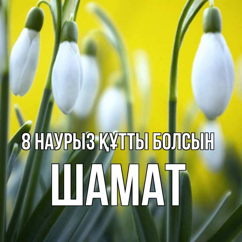 Күн сайын ашық хат с именем, ШАМАТ 8 наурыз құтты болсын весенние цветы Онлайн тегін жүктеп алу тілектері бар керемет карта 
