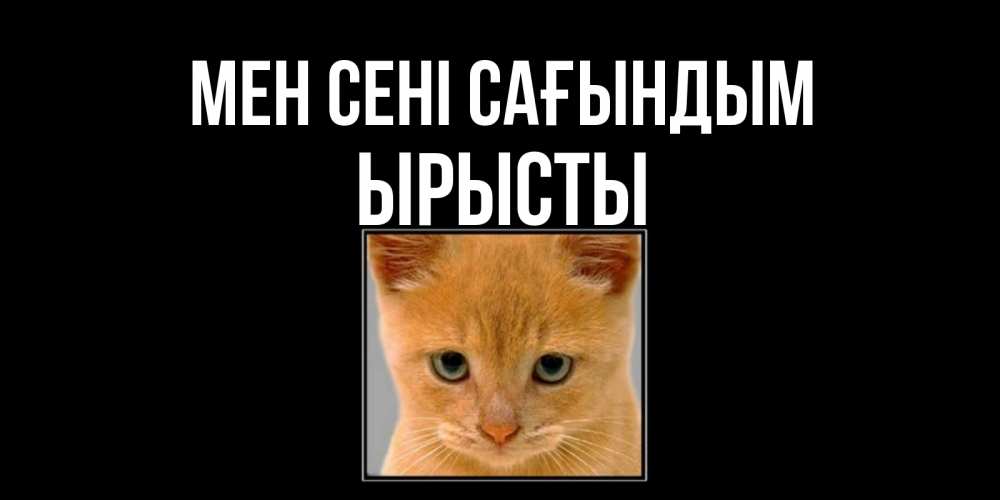 Күн сайын ашық хат с именем, ЫРЫСТЫ Мен сені сағындым открытки рыжий котенок скучает по тебе Онлайн тегін жүктеп алу тілектері бар керемет карта 