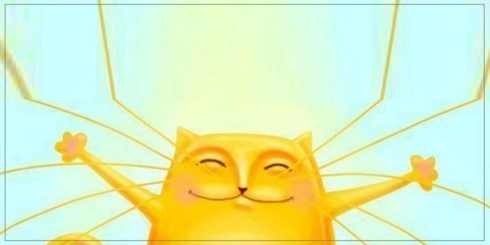 Открытка открытка привет с котом и длинными усами кот Сәлем 