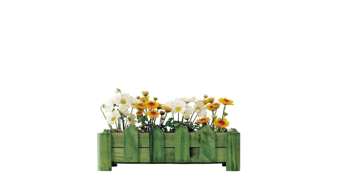 Открытка доброе утро с цветами цветы  