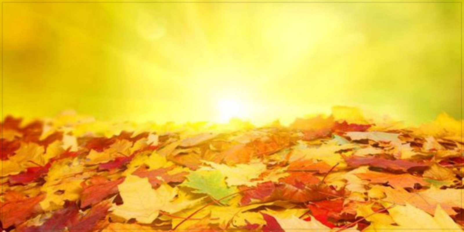 Открытка осенний листопад пожелания удачного дня Күніңіз жақсы өтсін 