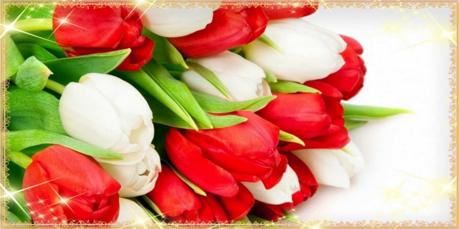 Открытка красные и белые тюльпаны на международный женский день   Поздравительные открытки для милых женщин  8 наурыз құтты болсын 