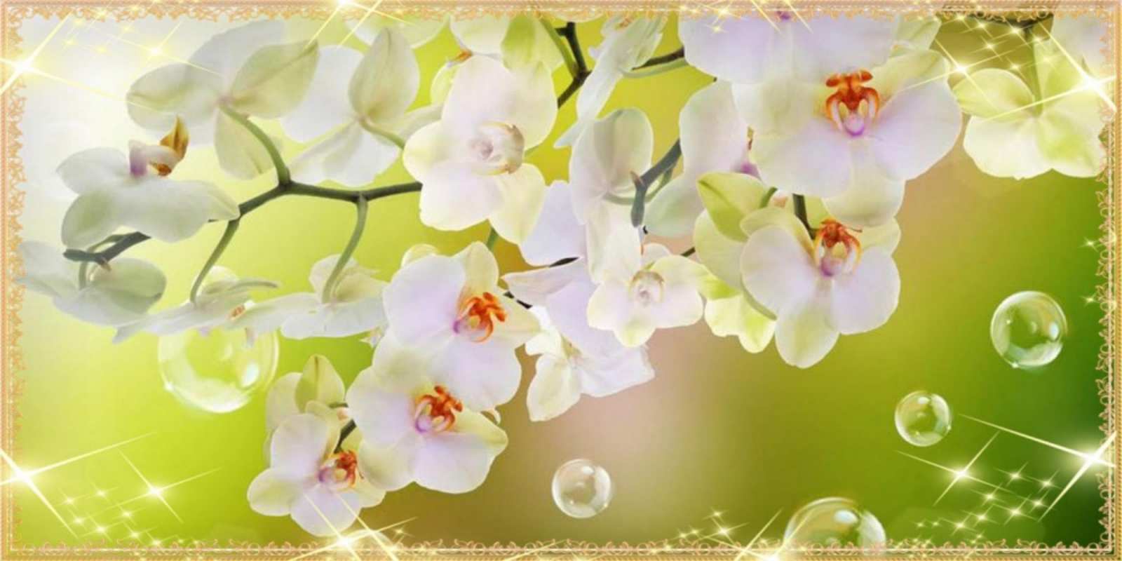 Открытка белые цветы на 8 марта открытка с цветами на международный женский день 8 наурыз құтты болсын 