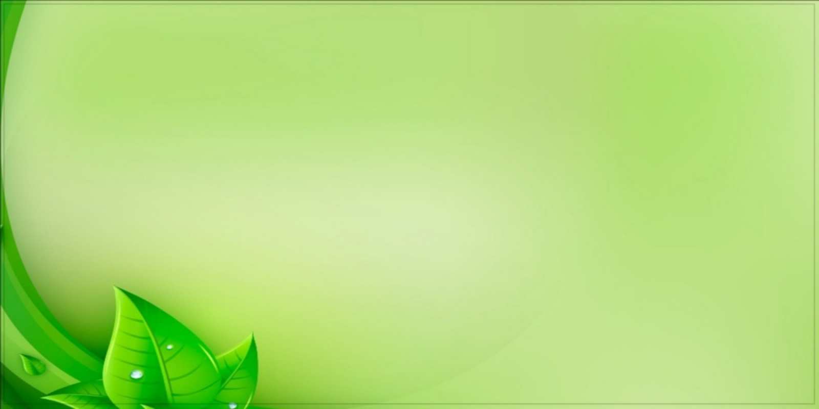 Открытка удачного дня и зеленый листок сирени зеленая тема Күніңіз жақсы өтсін 