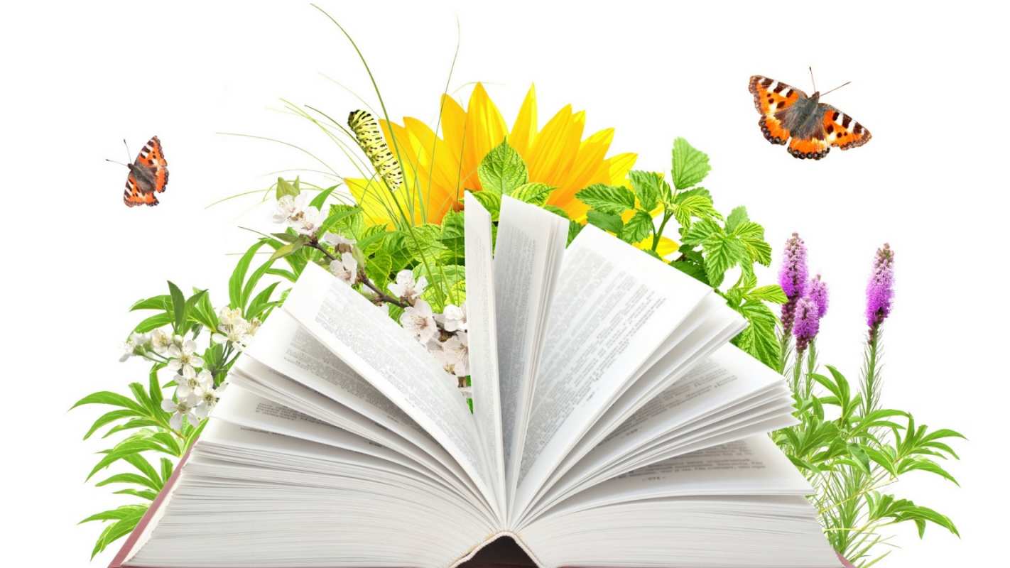 Открытка книга и цветы  с днем учителя   Мұғалімдер күнімен 