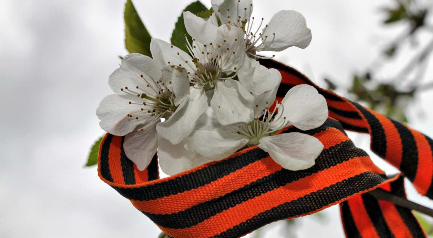 Открытка цветы и лента  9 мая  9 мамырдан бастап 