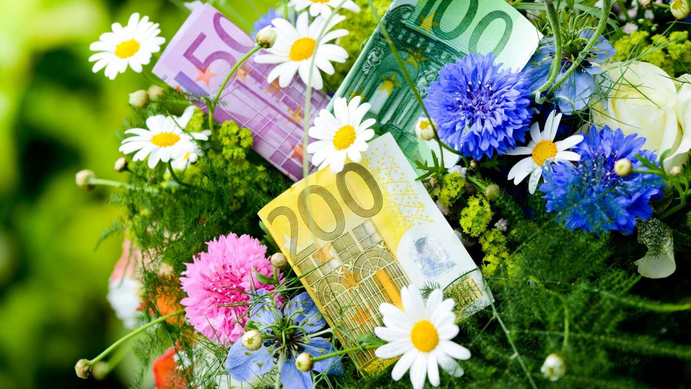 Открытка евро и цветы васильки с ромашками   с днем бухгалтера  бухгалтер күні құтты болсын 