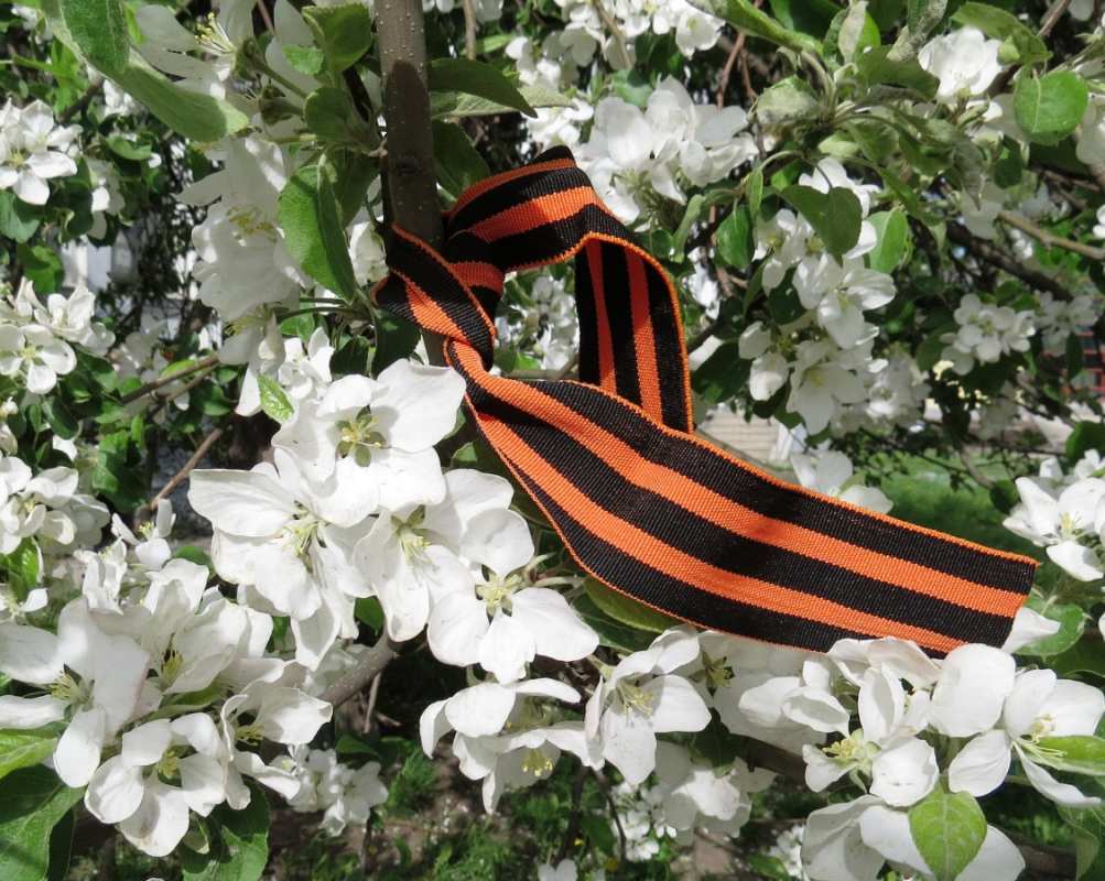 Открытка георгиевская лента в цветах  9 мая  9 мамырдан бастап 