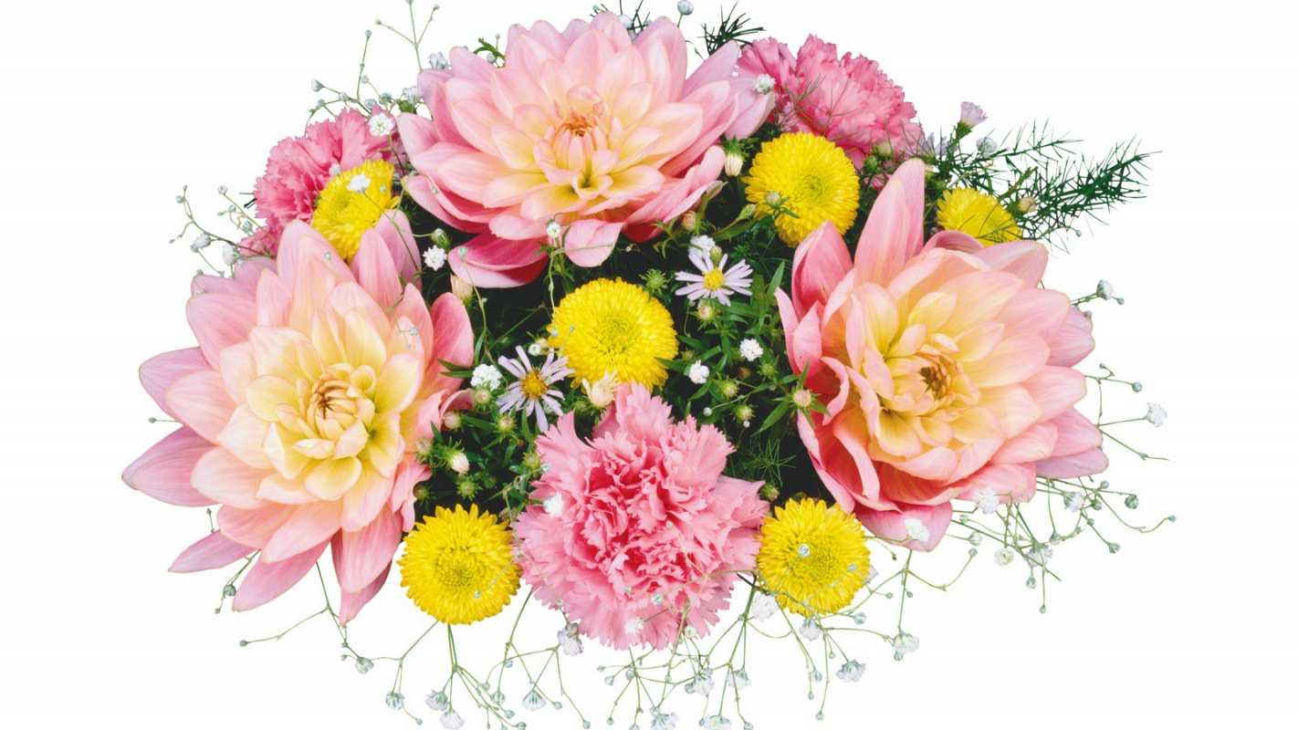 Открытка букет цветов  с днем бухгалтера  бухгалтер күні құтты болсын 