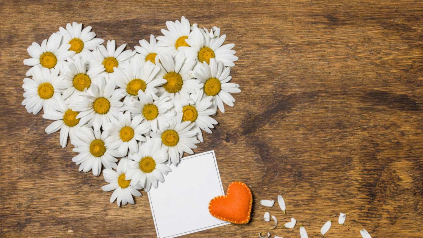 Открытка сердце из ромашек  с днем семьи   отбасы күні құтты болсын 