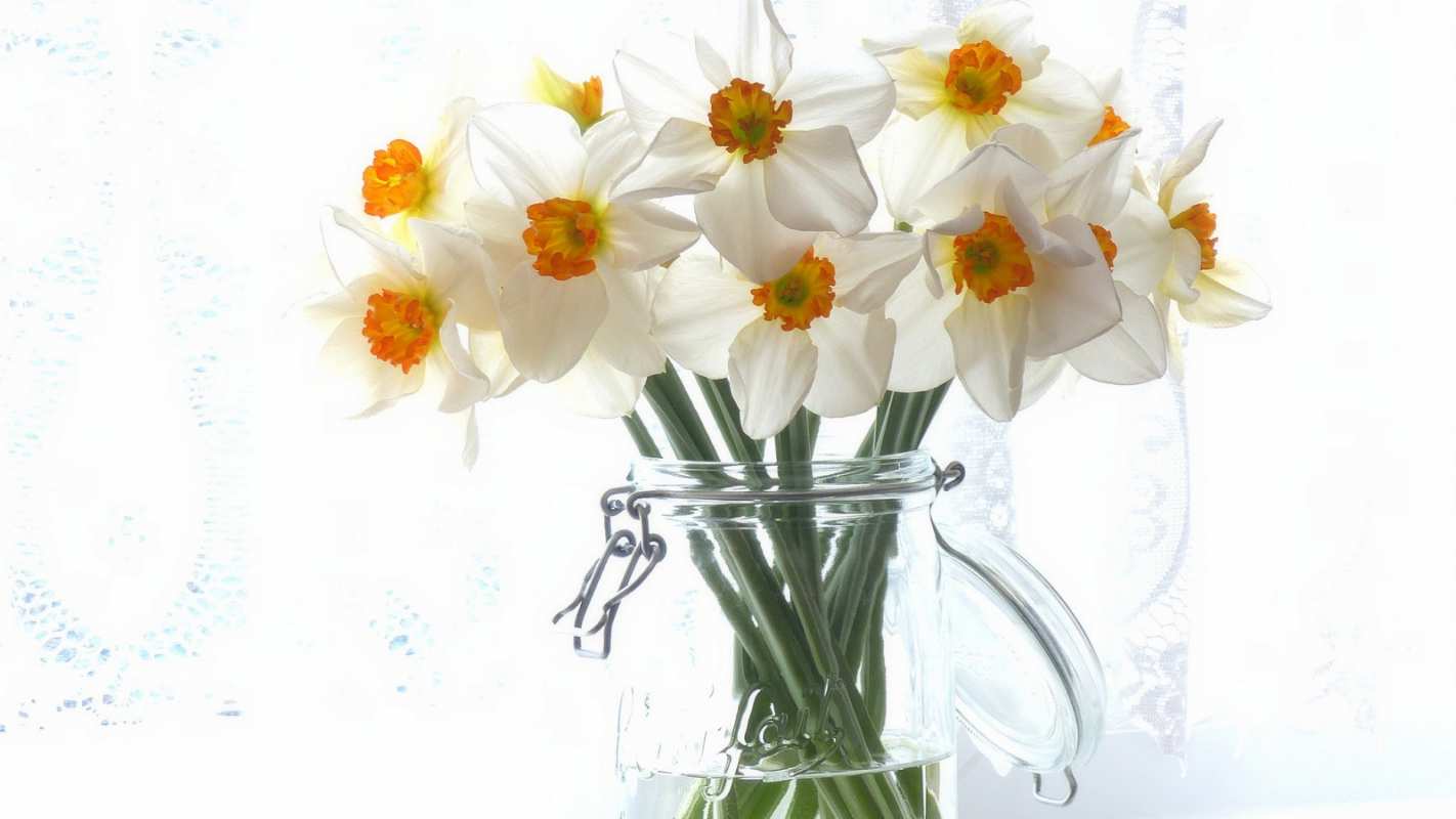 Открытка цветы в банке  с днем бухгалтера  бухгалтер күні құтты болсын 