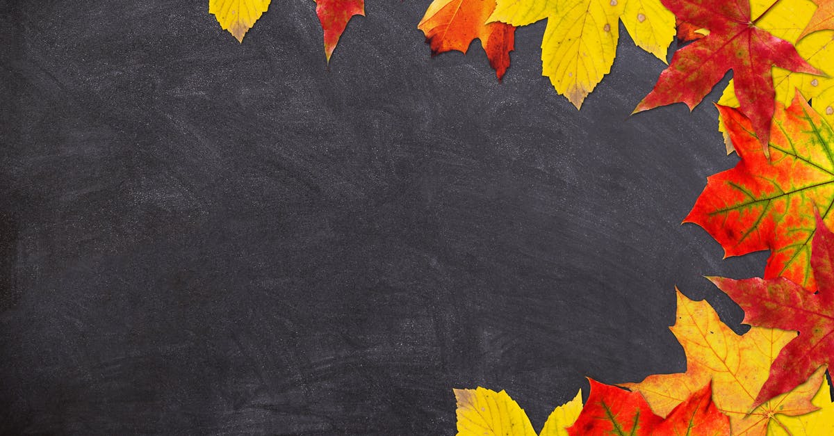 Открытка доска школьная и листья осенние  с днем знаний  1 қыркүйектен бастап 