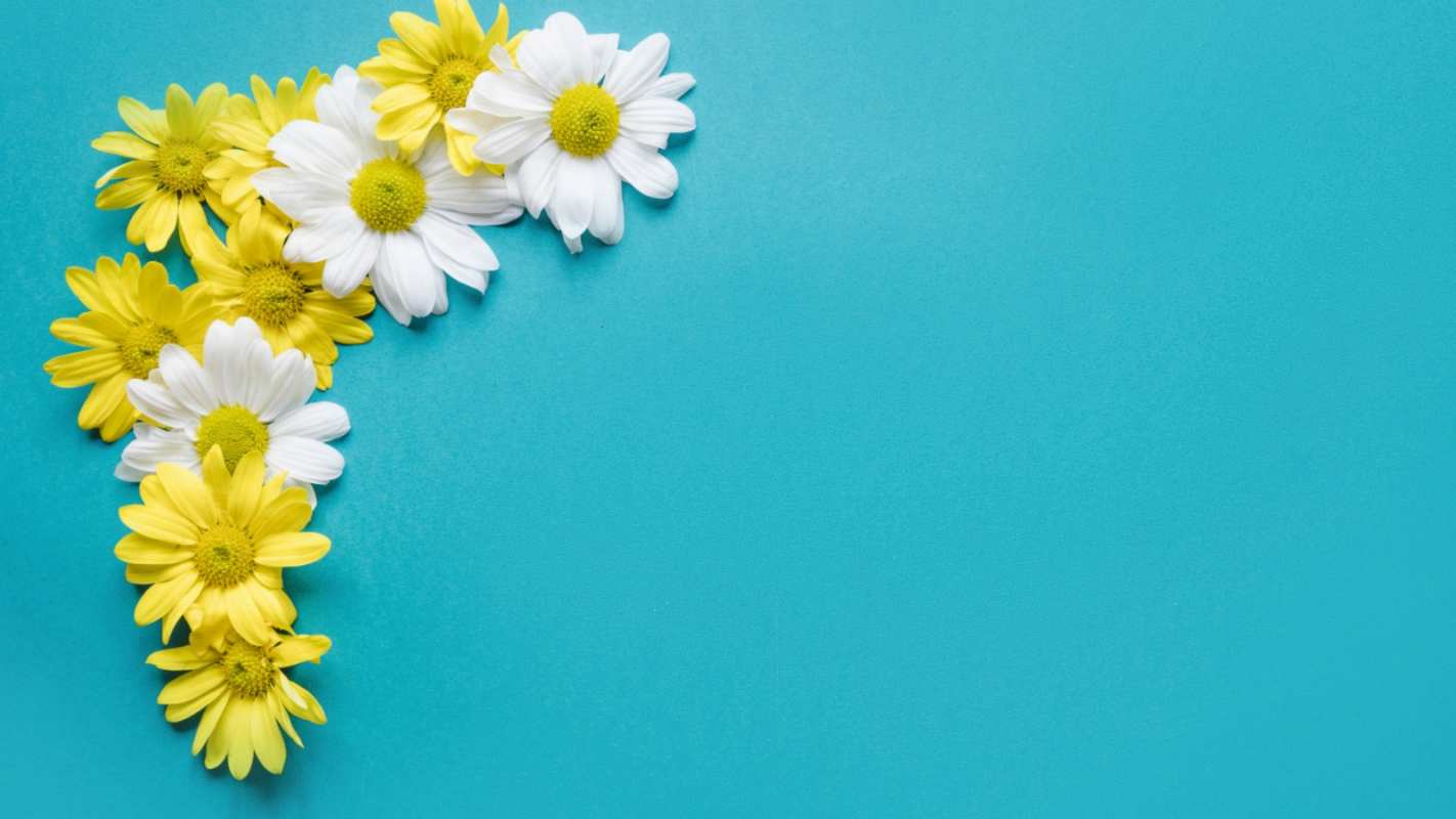 Открытка рамочка из ромашек  с днем семьи   отбасы күні құтты болсын 