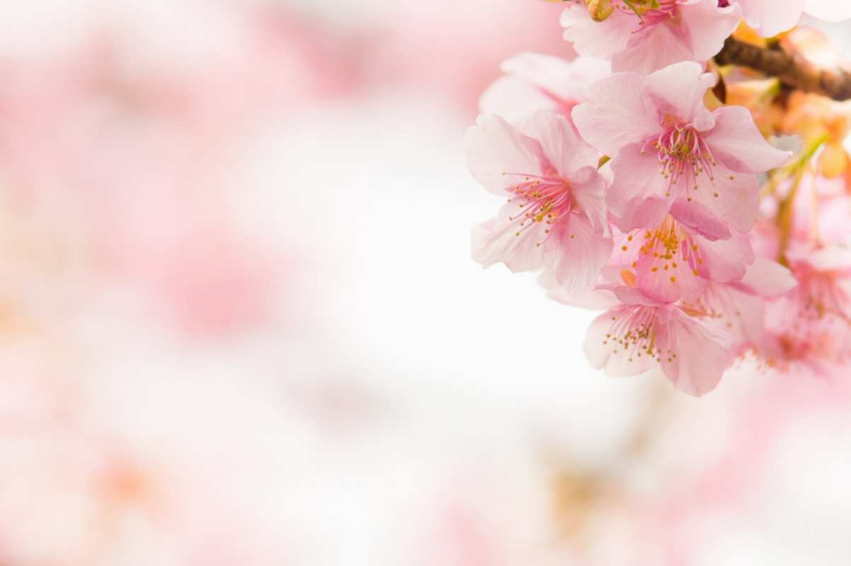 Открытка С 1 мая  С 1 мая  1 мамырдан бастап 