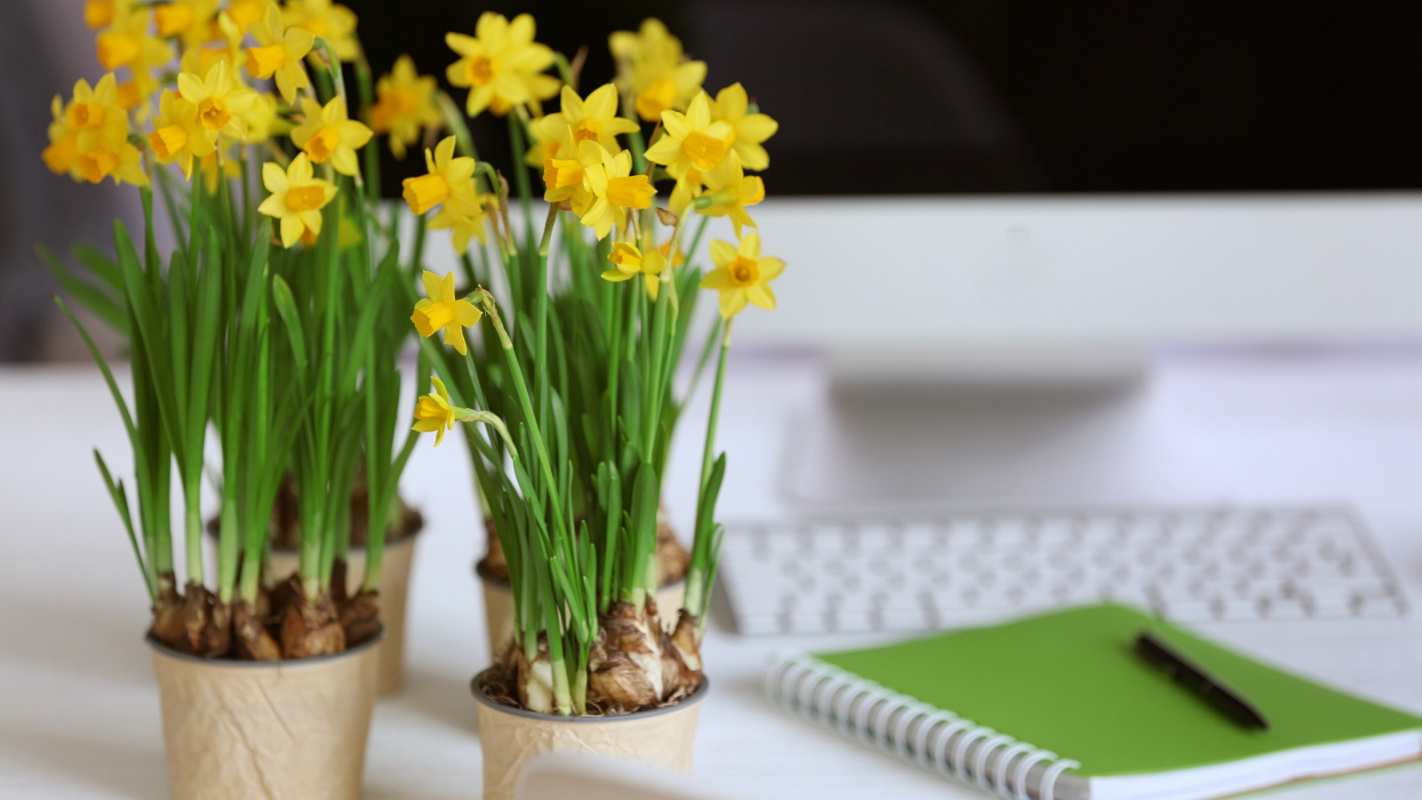 Открытка цветы и отчет  с днем бухгалтера  бухгалтер күні құтты болсын 