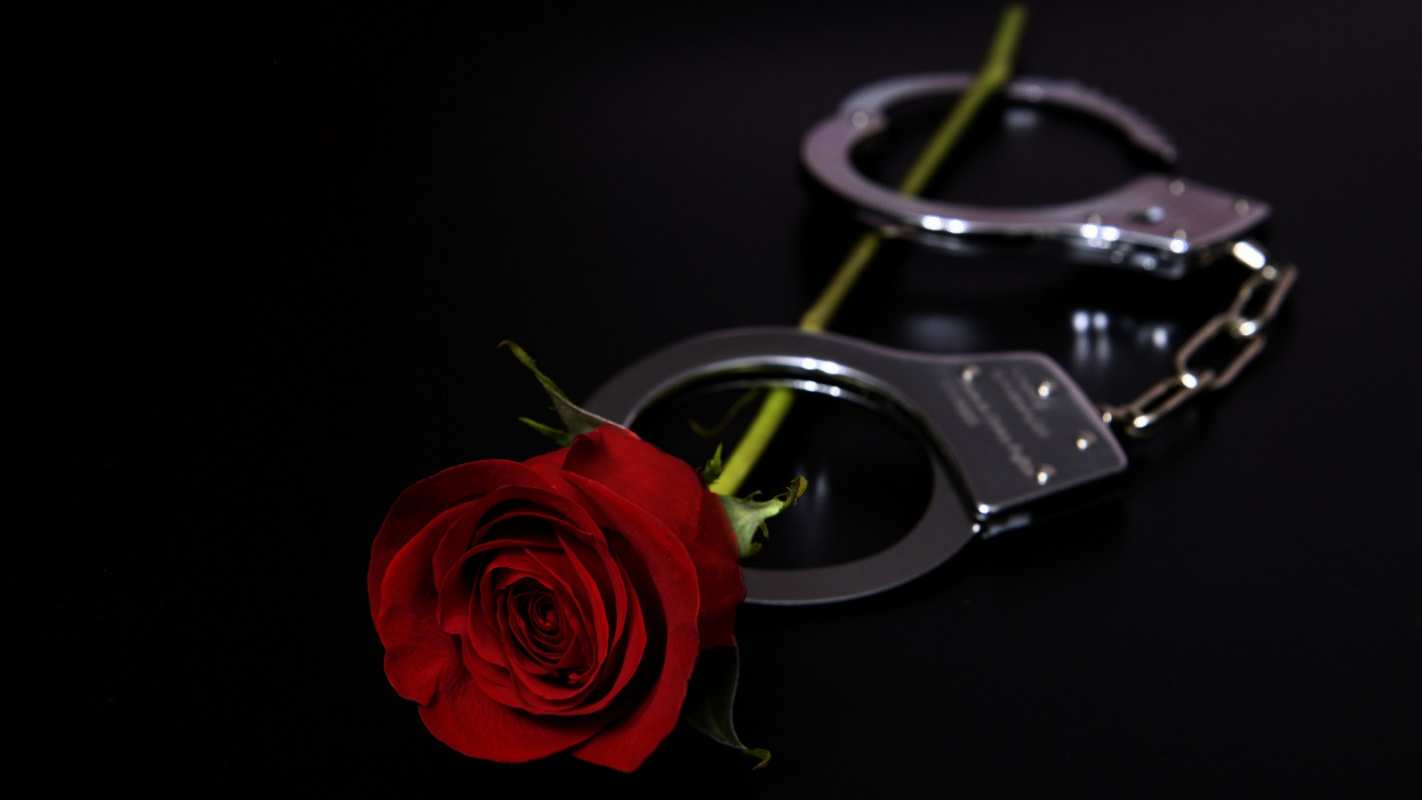 Открытка наручники и роза  роза и наручники  Полиция күні құтты болсын 