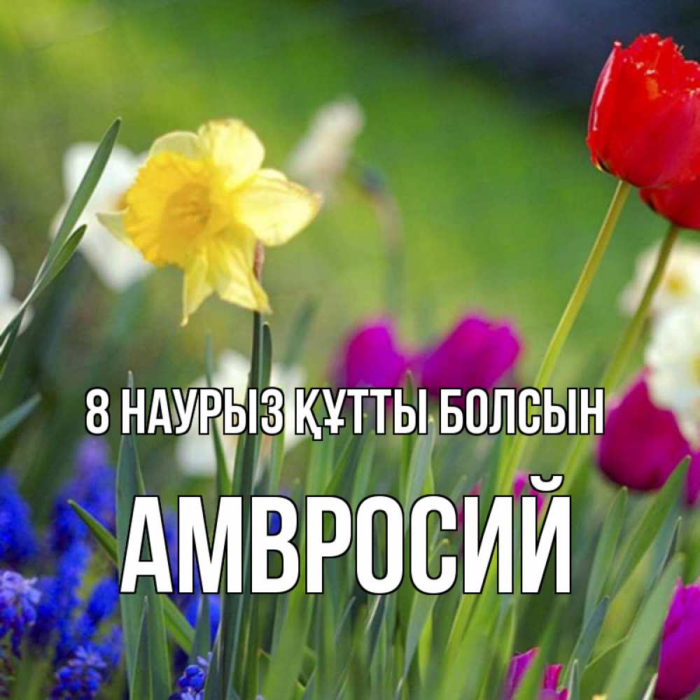 Күн сайын ашық хат с именем, Амвросий 8 наурыз құтты болсын международный женский день 3 Онлайн тегін жүктеп алу тілектері бар керемет карта 