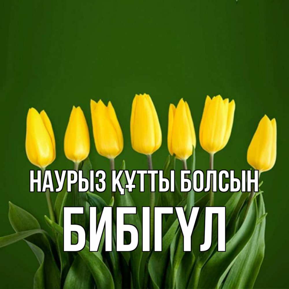 Күн сайын ашық хат с именем, БИБІГҮЛ Наурыз құтты болсын желтого цвета 3 Онлайн тегін жүктеп алу тілектері бар керемет карта 