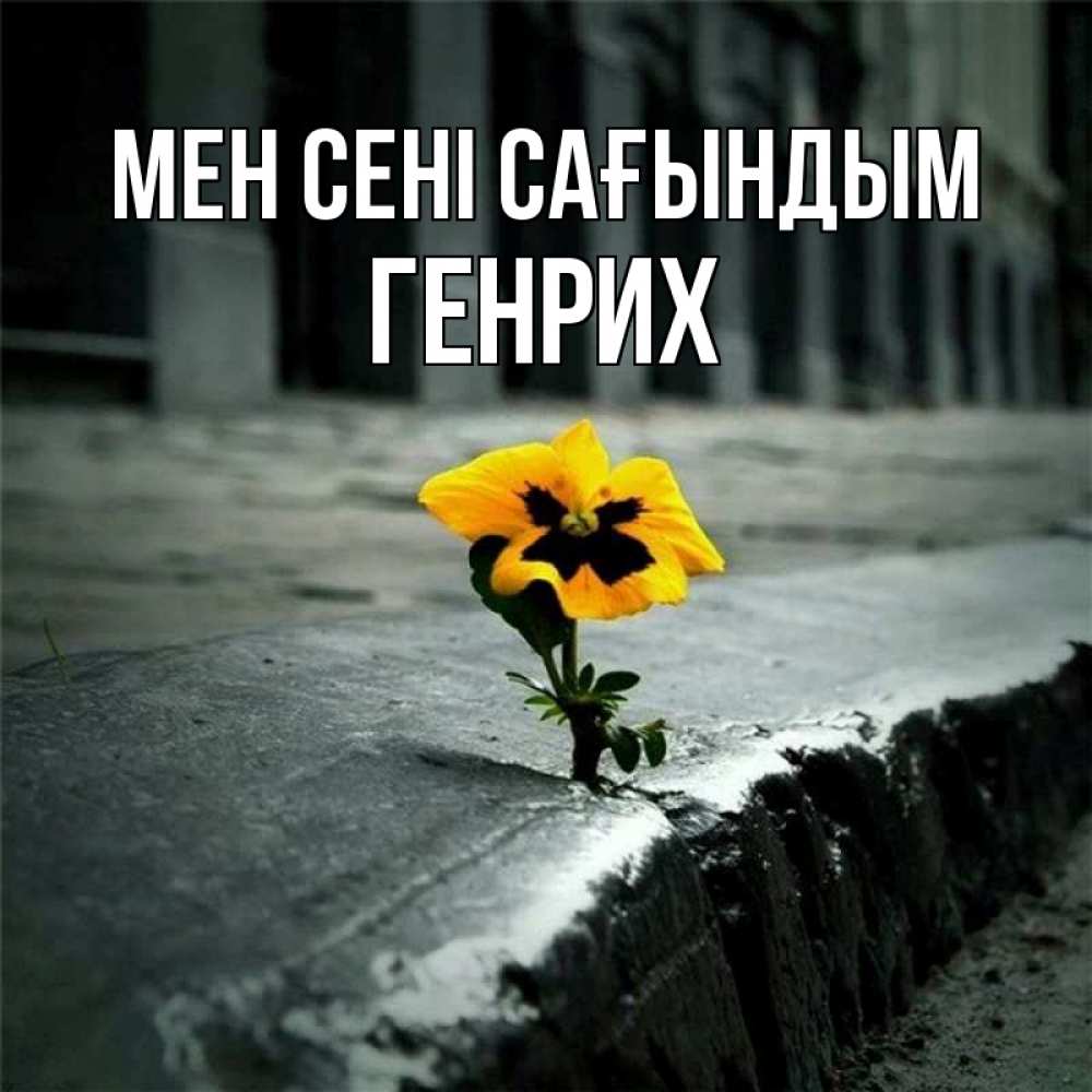 Күн сайын ашық хат с именем, Генрих Мен сені сағындым надеюсь будет лучше Онлайн тегін жүктеп алу тілектері бар керемет карта 