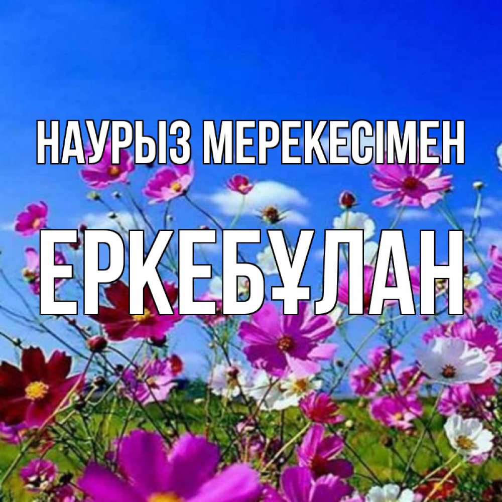 Күн сайын ашық хат с именем, Еркебұлан Наурыз мерекесімен цветы Онлайн тегін жүктеп алу тілектері бар керемет карта 