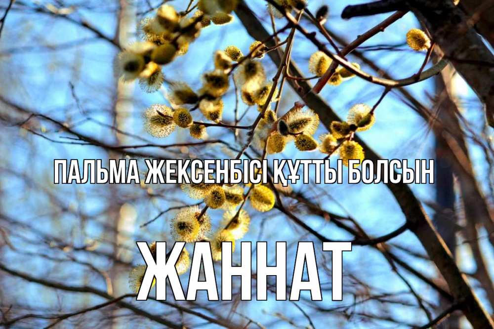 Күн сайын ашық хат с именем, ЖАННАТ Пальма жексенбісі құтты болсын верба Онлайн тегін жүктеп алу тілектері бар керемет карта 