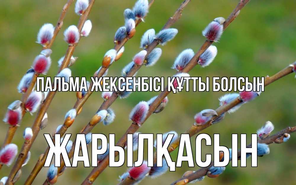 Күн сайын ашық хат с именем, Жарылқасын Пальма жексенбісі құтты болсын верба Онлайн тегін жүктеп алу тілектері бар керемет карта 