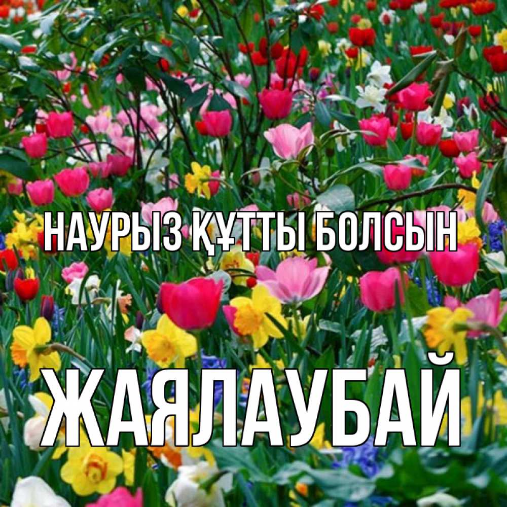Күн сайын ашық хат с именем, Жаялаубай Наурыз құтты болсын с наурызом поздравления для женщины Онлайн тегін жүктеп алу тілектері бар керемет карта 
