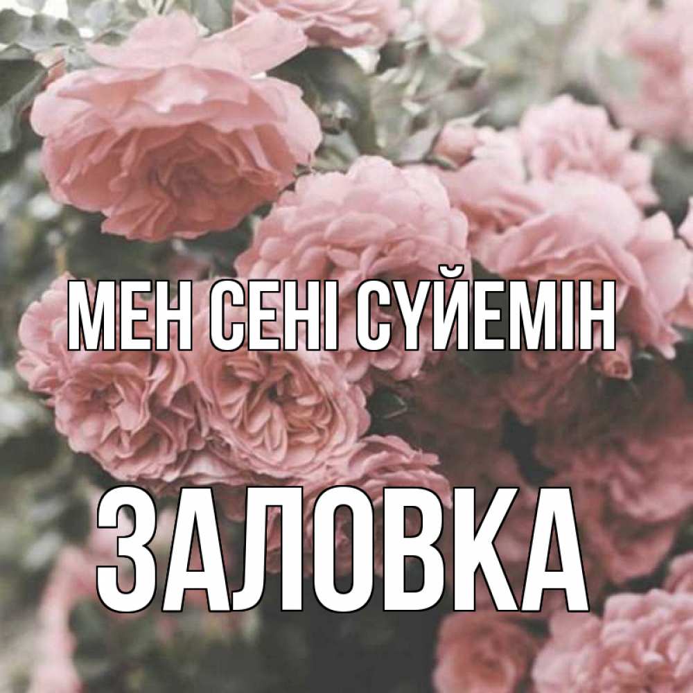 Күн сайын ашық хат с именем, Заловка Мен сені сүйемін розы 3 Онлайн тегін жүктеп алу тілектері бар керемет карта 