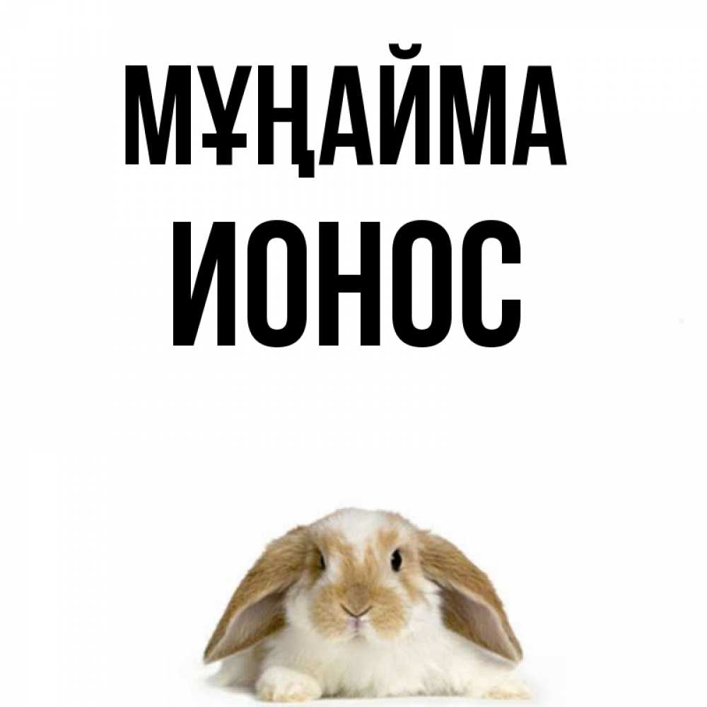 Күн сайын ашық хат с именем, Ионос Мұңайма коричнево белый заяц с большими ушками Онлайн тегін жүктеп алу тілектері бар керемет карта 