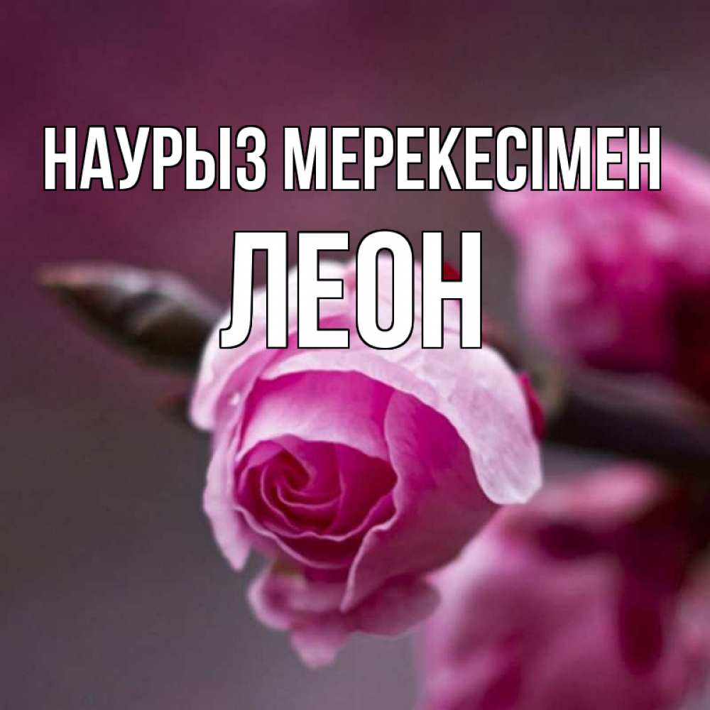 Күн сайын ашық хат с именем, Леон Наурыз мерекесімен весна Онлайн тегін жүктеп алу тілектері бар керемет карта 