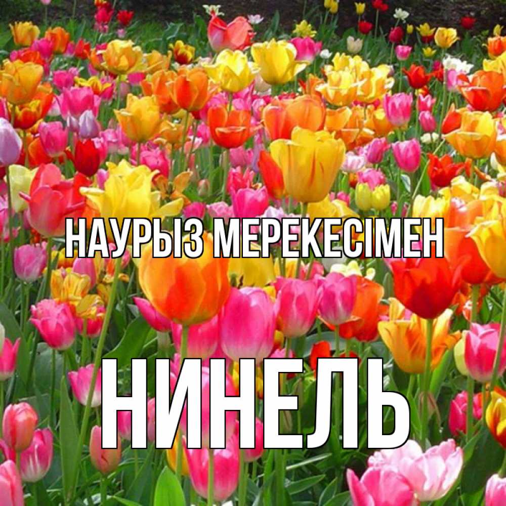 Күн сайын ашық хат с именем, Нинель Наурыз мерекесімен праздник весны наурыз 4 Онлайн тегін жүктеп алу тілектері бар керемет карта 