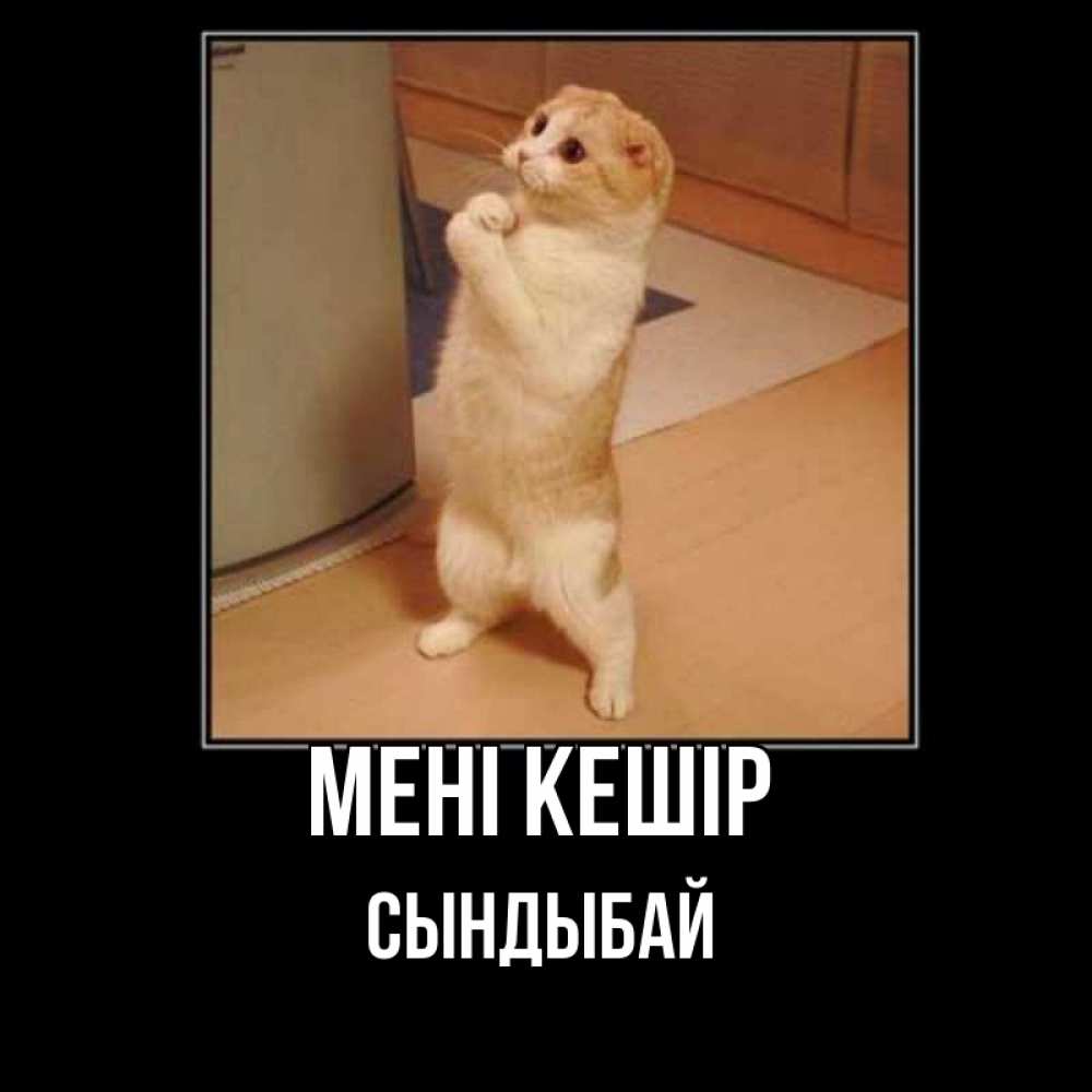 Күн сайын ашық хат с именем, СЫНДЫБАЙ Мені кешір открытка с милым несчастным котиком просящим прощения Онлайн тегін жүктеп алу тілектері бар керемет карта 