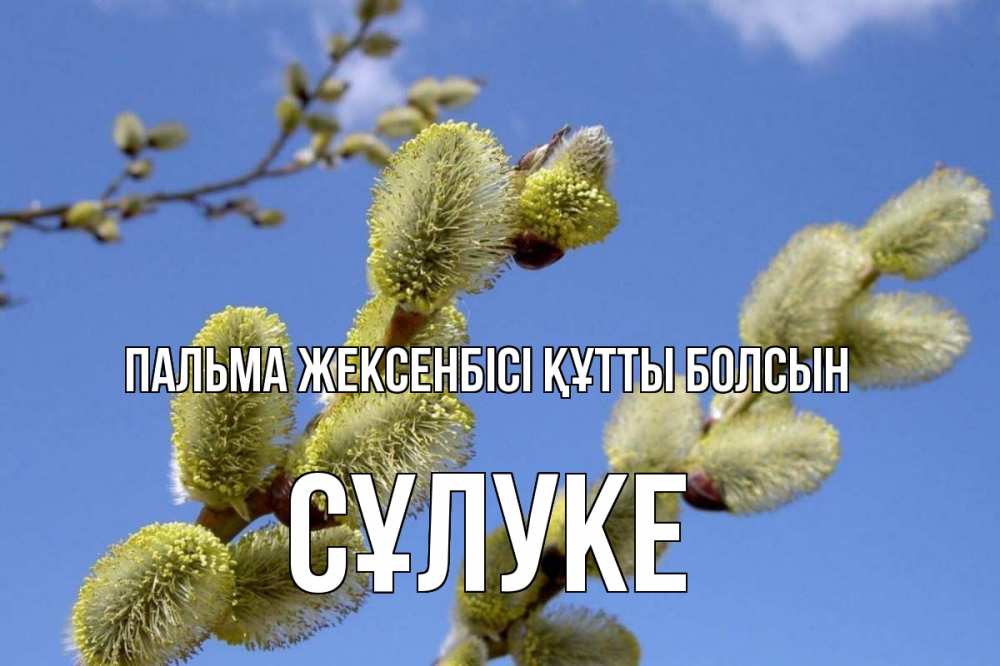 Күн сайын ашық хат с именем, СҰЛУКЕ Пальма жексенбісі құтты болсын верба Онлайн тегін жүктеп алу тілектері бар керемет карта 