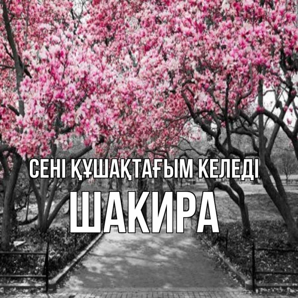 Күн сайын ашық хат с именем, Шакира сені құшақтағым келеді обработанное фото Онлайн тегін жүктеп алу тілектері бар керемет карта 