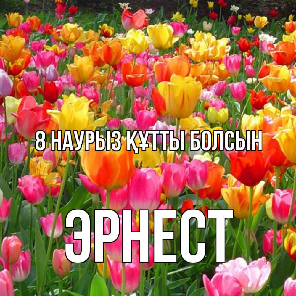 Күн сайын ашық хат с именем, Эрнест 8 наурыз құтты болсын на международный женский день Онлайн тегін жүктеп алу тілектері бар керемет карта 