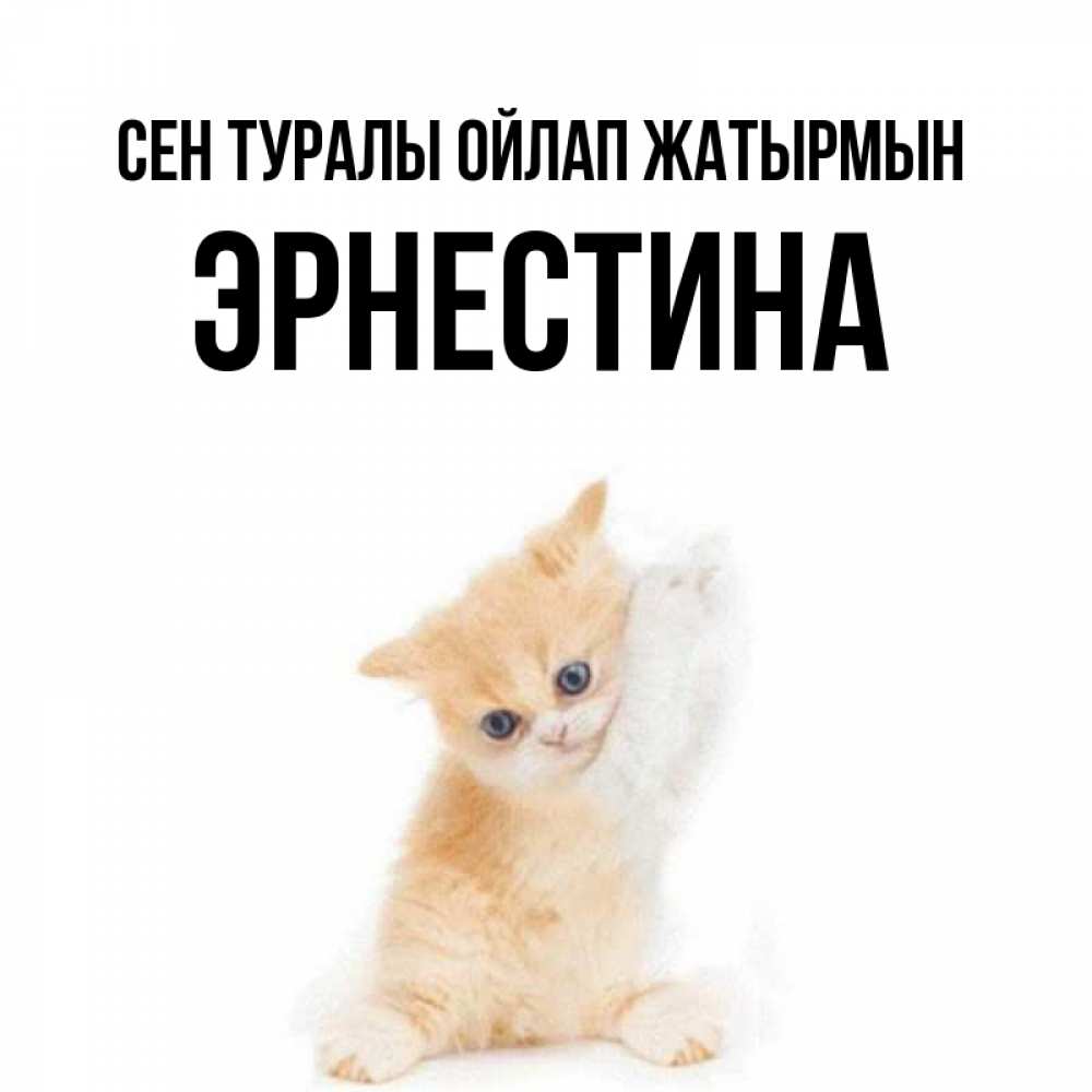 Күн сайын ашық хат с именем, Эрнестина Сен туралы ойлап жатырмын зверушки и милота Онлайн тегін жүктеп алу тілектері бар керемет карта 