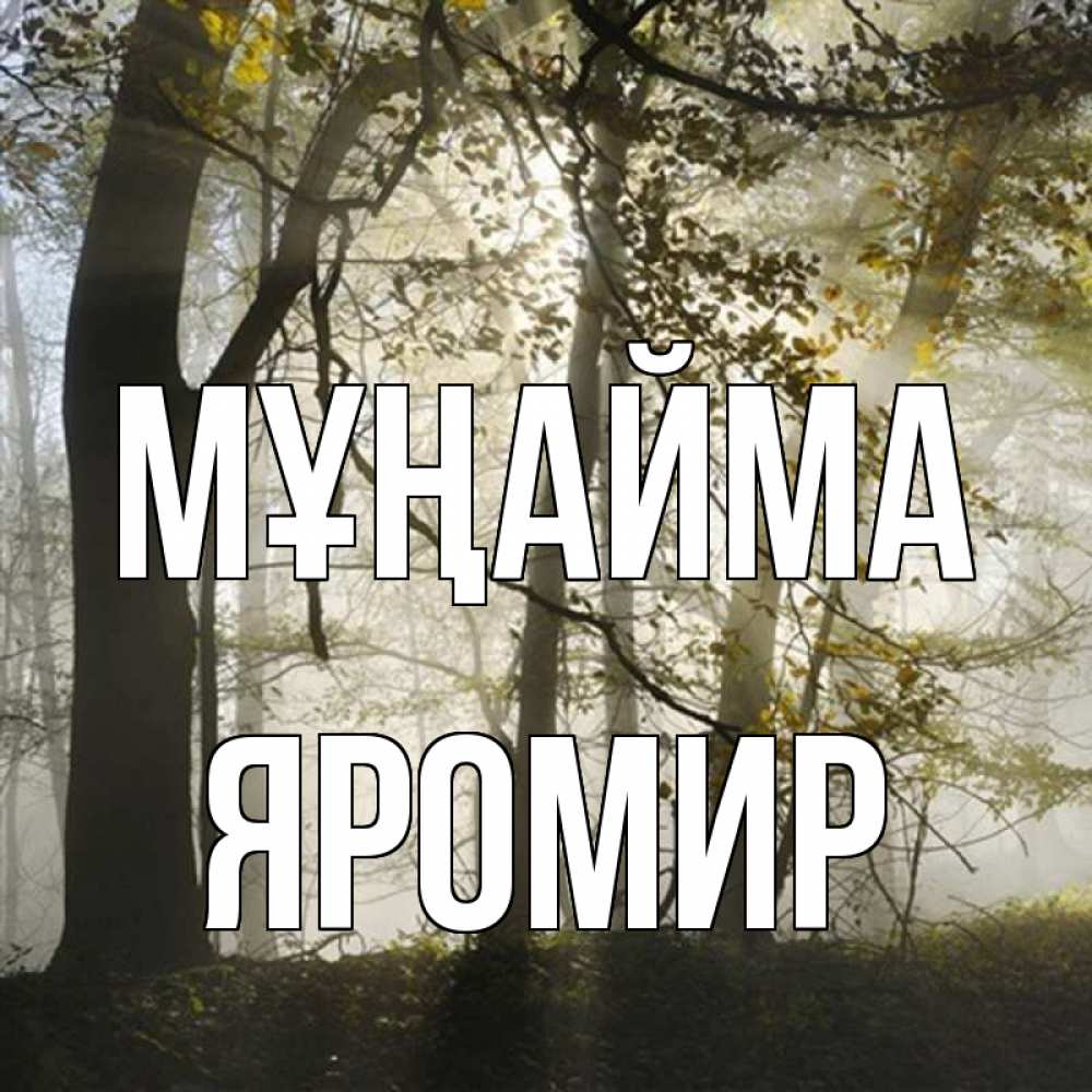 Күн сайын ашық хат с именем, Яромир Мұңайма лес и свет Онлайн тегін жүктеп алу тілектері бар керемет карта 