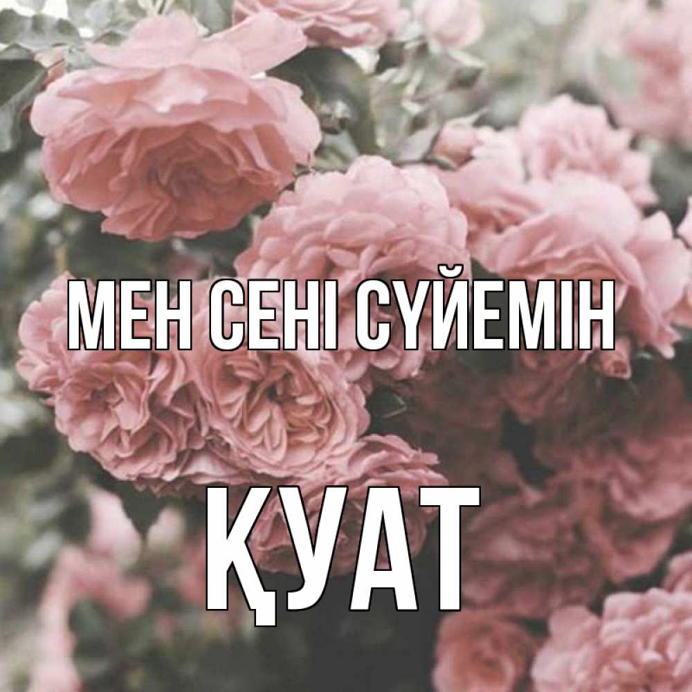 Күн сайын ашық хат с именем, ҚУАТ Мен сені сүйемін розы 3 Онлайн тегін жүктеп алу тілектері бар керемет карта 