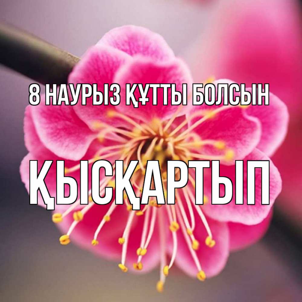 Күн сайын ашық хат с именем, Қысқартып 8 наурыз құтты болсын цветы Онлайн тегін жүктеп алу тілектері бар керемет карта 