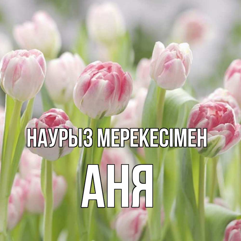 Күн сайын ашық хат с именем, Аня Наурыз мерекесімен цветы Онлайн тегін жүктеп алу тілектері бар керемет карта 