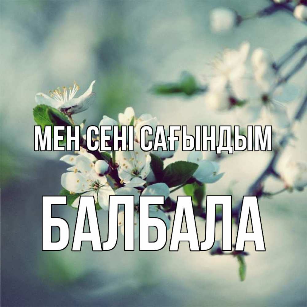 Күн сайын ашық хат с именем, БАЛБАЛА Мен сені сағындым весна Онлайн тегін жүктеп алу тілектері бар керемет карта 