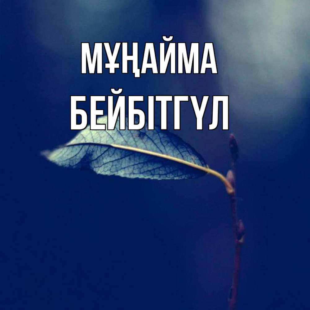 Күн сайын ашық хат с именем, БЕЙБІТГҮЛ Мұңайма растение Онлайн тегін жүктеп алу тілектері бар керемет карта 