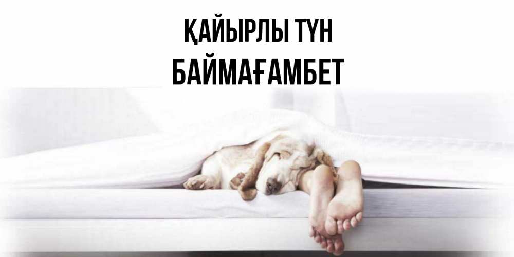 Күн сайын ашық хат с именем, Баймағамбет Қайырлы түн кровать с собакой пожелание сладких снов и спокойной ночи Онлайн тегін жүктеп алу тілектері бар керемет карта 