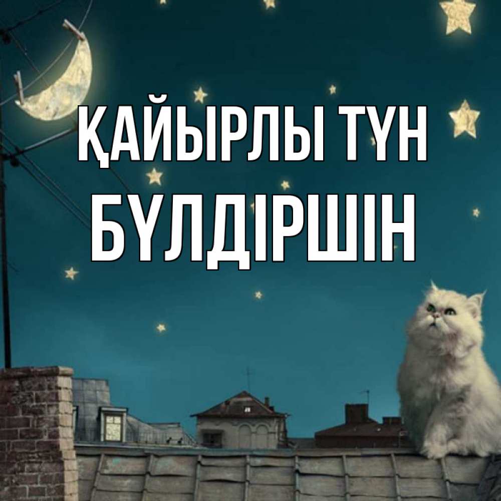 Күн сайын ашық хат с именем, БҮЛДІРШІН Қайырлы түн белый кот сидит на крыше Онлайн тегін жүктеп алу тілектері бар керемет карта 