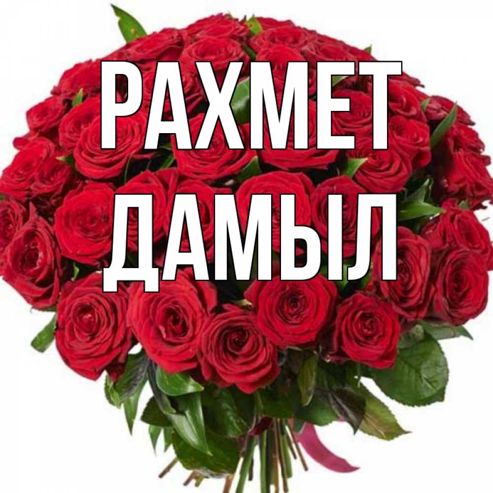 Күн сайын ашық хат с именем, Дамыл рахмет букет красных роз Онлайн тегін жүктеп алу тілектері бар керемет карта 