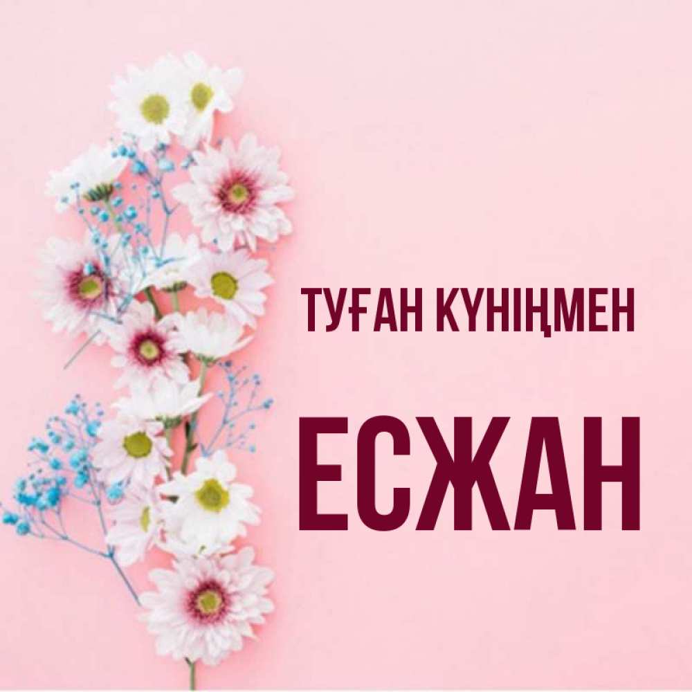 Күн сайын ашық хат с именем, Есжан Туған күніңмен Родная моя с днем рождения тебя картинка с цветами белыми и голубыми Онлайн тегін жүктеп алу тілектері бар керемет карта 