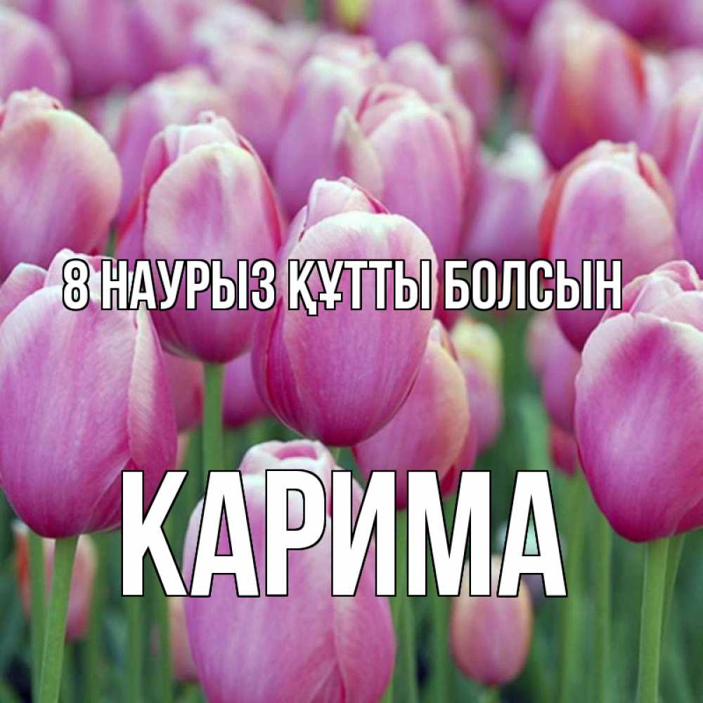 Күн сайын ашық хат с именем, Карима 8 наурыз құтты болсын на международный женский день 3 Онлайн тегін жүктеп алу тілектері бар керемет карта 