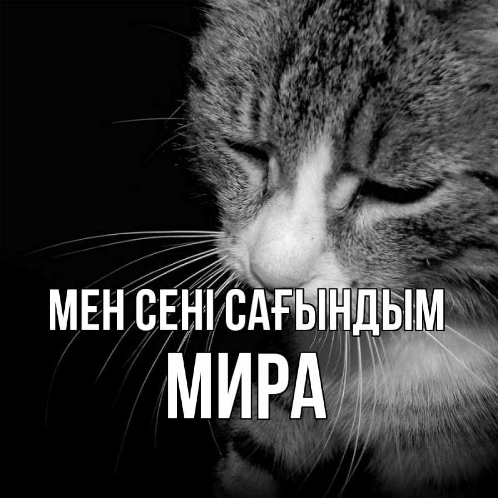 Күн сайын ашық хат с именем, МИРА Мен сені сағындым мне скучно Онлайн тегін жүктеп алу тілектері бар керемет карта 