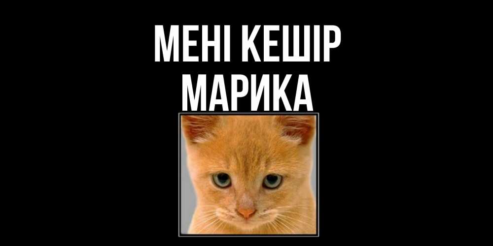 Күн сайын ашық хат с именем, Марика Мені кешір рыжий грустный кот просит прощения Онлайн тегін жүктеп алу тілектері бар керемет карта 